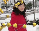 ��ѩ��÷ �Ŷ�÷��Ů�Ӵ����Ͳ�Ӧ�ò�����